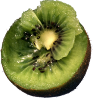 fruits & Kiwi free transparent png image.