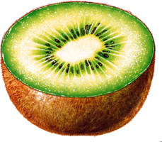 fruits & kiwi free transparent png image.