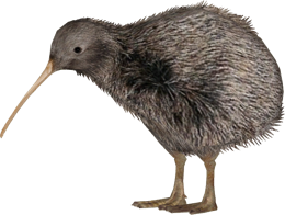 animals & Kiwi bird free transparent png image.
