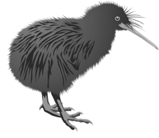 animals & Kiwi bird free transparent png image.