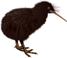 animals & kiwi bird free transparent png image.