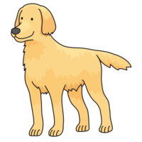 animals & labrador retriever free transparent png image.