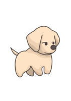 animals & Labrador Retriever free transparent png image.