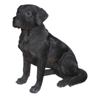 animals & labrador retriever free transparent png image.