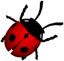 insects & ladybug free transparent png image.