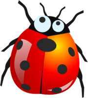 insects & Ladybug free transparent png image.