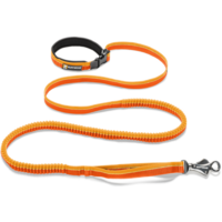 objects & leash free transparent png image.