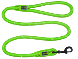 objects & leash free transparent png image.