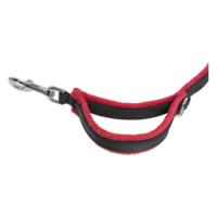 objects & leash free transparent png image.