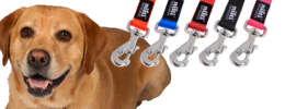 objects & leash free transparent png image.