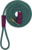 objects & leash free transparent png image.