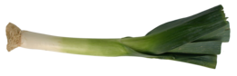 vegetables & Leek free transparent png image.