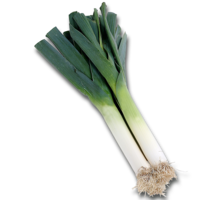 vegetables & Leek free transparent png image.