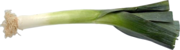 vegetables & Leek free transparent png image.