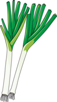 vegetables & Leek free transparent png image.