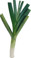 vegetables & Leek free transparent png image.