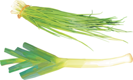 vegetables & Leek free transparent png image.