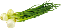 vegetables & leek free transparent png image.