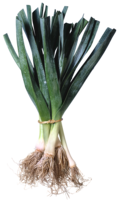 vegetables & Leek free transparent png image.