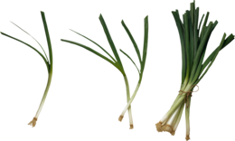 vegetables & leek free transparent png image.