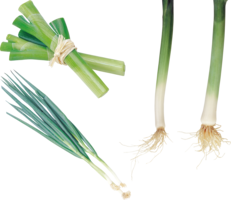 vegetables & Leek free transparent png image.