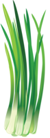 vegetables & leek free transparent png image.