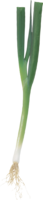 vegetables & Leek free transparent png image.