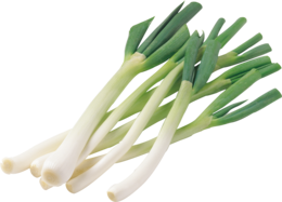 vegetables & Leek free transparent png image.