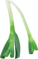 vegetables & Leek free transparent png image.