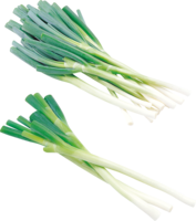 vegetables & Leek free transparent png image.