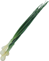 vegetables & Leek free transparent png image.