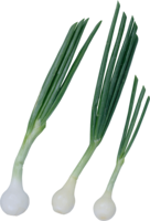 vegetables & Leek free transparent png image.