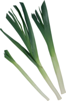 vegetables & Leek free transparent png image.