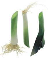 vegetables & Leek free transparent png image.