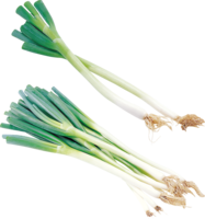 vegetables & Leek free transparent png image.