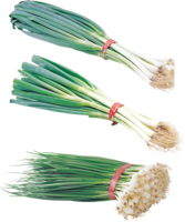 vegetables & leek free transparent png image.