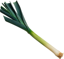 vegetables & Leek free transparent png image.