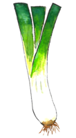 vegetables & Leek free transparent png image.