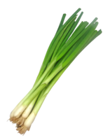 vegetables & Leek free transparent png image.