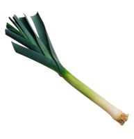 vegetables & Leek free transparent png image.