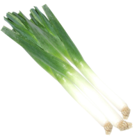 vegetables & Leek free transparent png image.