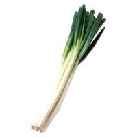 vegetables & Leek free transparent png image.