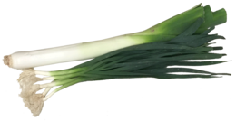 vegetables & Leek free transparent png image.