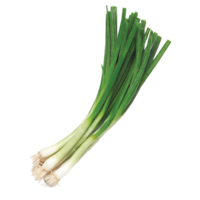 vegetables & Leek free transparent png image.