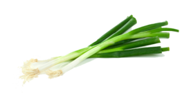 vegetables & leek free transparent png image.