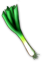 vegetables & leek free transparent png image.