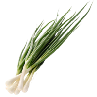 vegetables & Leek free transparent png image.