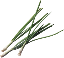 vegetables & leek free transparent png image.