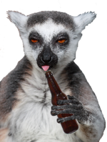 animals & Lemur free transparent png image.