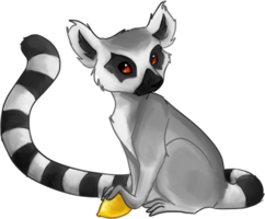 animals & Lemur free transparent png image.